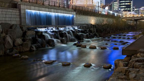 Гастрономический тур по рынку Кванчжан | Знакомство с традиционным корейским рынком