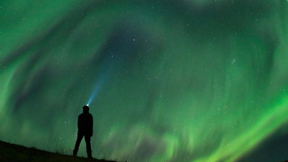 Nordlichter: 3-stündige Bustour + Audioguide