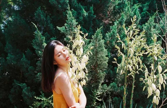 瑞士盧塞恩老城區Trip Moments【攝影師跟拍航拍約拍抓拍街拍寫真婚紗微電影/多語言翻譯】