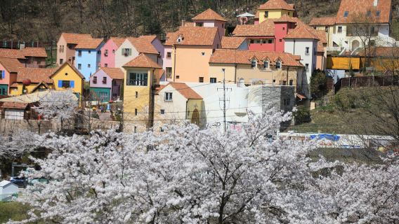 South Korea Nami Island one-day tour[Nami Island & Petite France Village & Italian Village]
