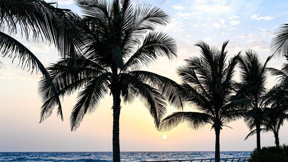 JeddahTours