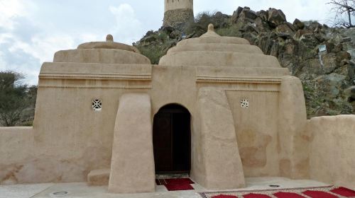 From Dubai Private Tour: Edge of Emirates: East Coast Tour Day Tours 8