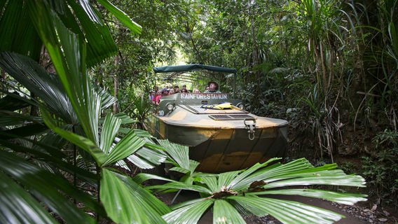 Kuranda