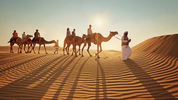 7-Day Dubai And Abu Dhabi City Tour With Desert And Cruise Experience