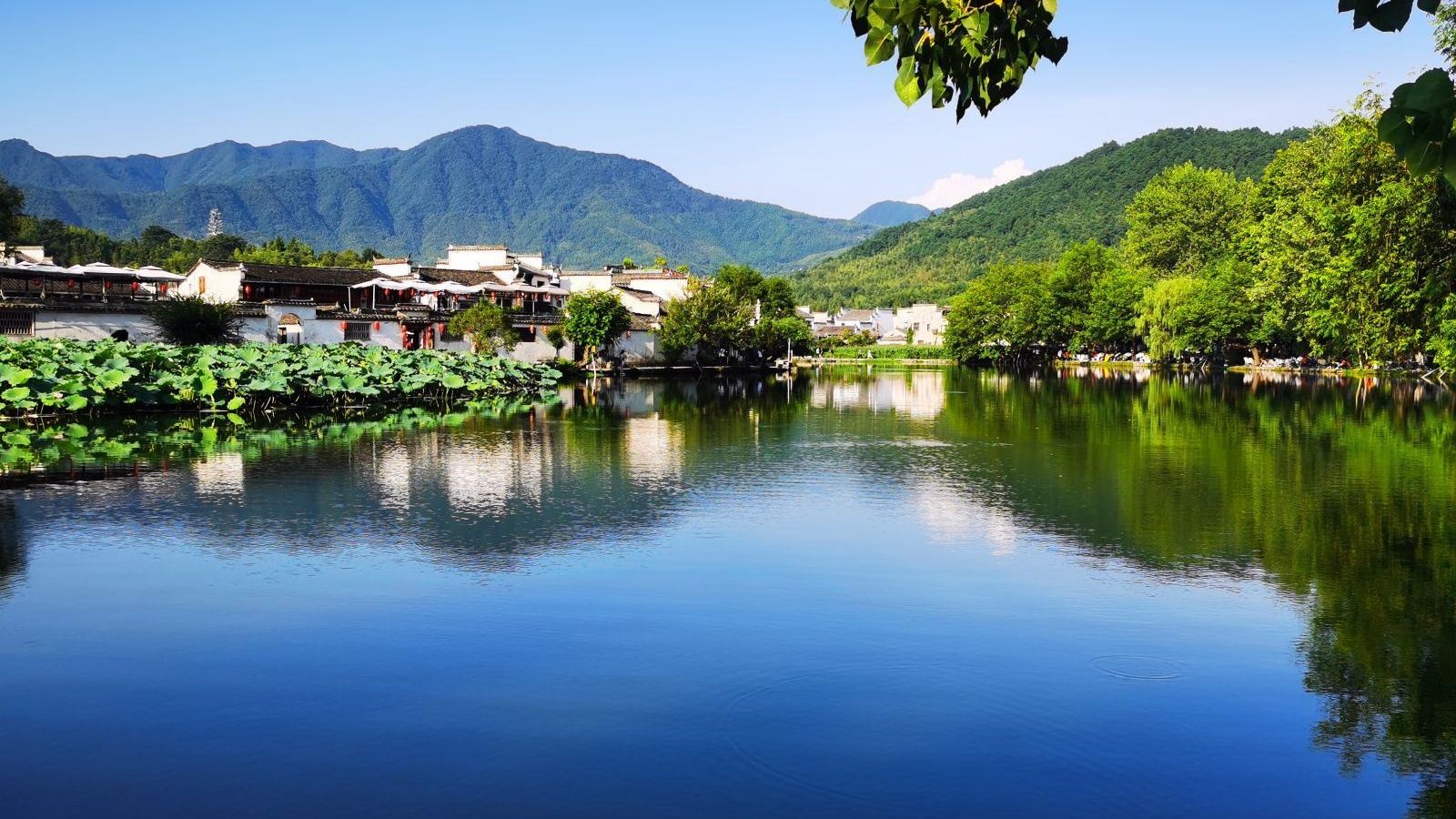 1-day tour to Hongcun Village + Tachuan Scenic Area + Xidi in Anhui with English, Chinese, and Russian guide EA