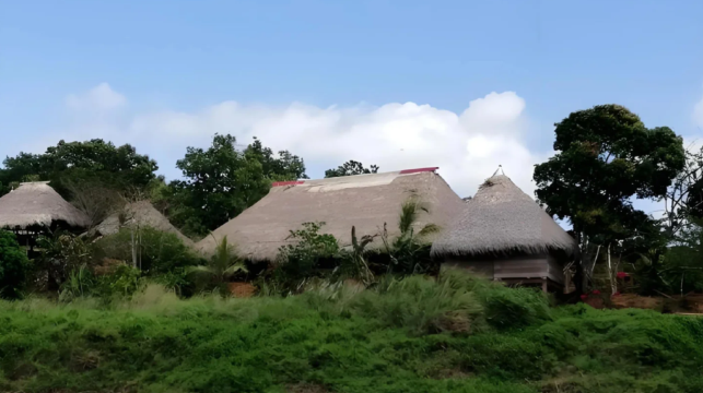 巴西+瑪瑙斯-亞馬遜河-亞馬遜競技場-中文專車-安全無憂