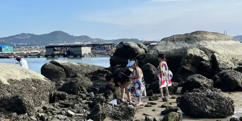 福建漳州東山島趕海體驗【提供趕海工具+本地漁民帶隊+收穫免費帶走】