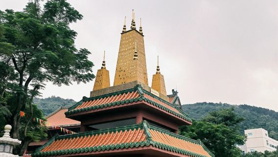 Shunde Qinghui Garden + Shunfengshan Park + Baolin Temple + Daliang Huagai Road one-day tour English service available