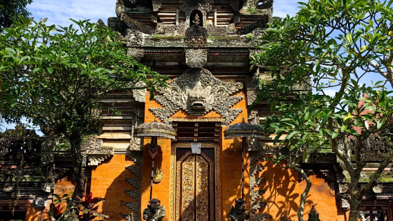 バリ島ロビナでイルカ追跡ワンデーツアーで日の出鑑賞【セットメニューB:イルカ+ウブド王宮+市場】