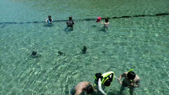 大洲島登島 快艇出海 海釣+浮潛雙體驗 提供裝備 送浮潛水下拍攝