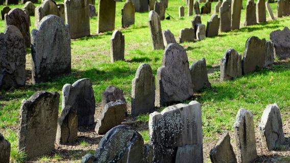 The Freedom Trail: Guided Tour + Old State House & Old South Meeting House Entry