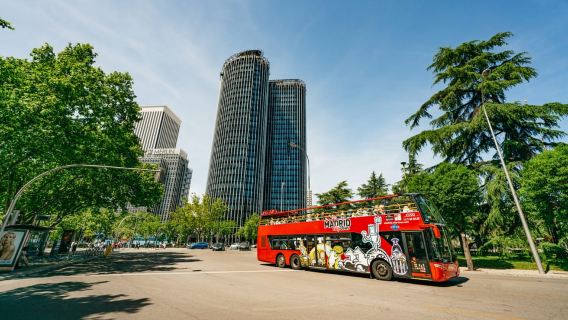 Madrid: tour panoramico della città