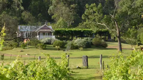 Sydney: Chef-Led Hunter Valley Food & Wine Tour