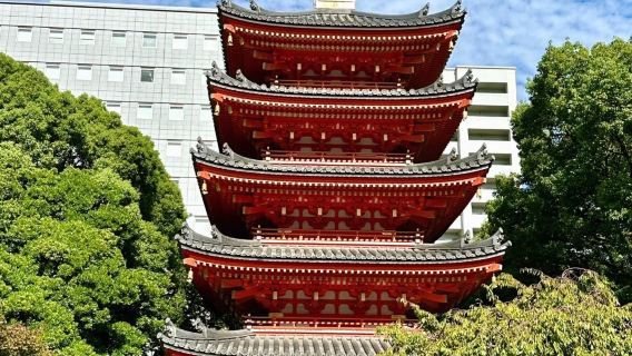 日本福岡市區網紅景點包車/可熊本別府綠牌5-14座包車-精選