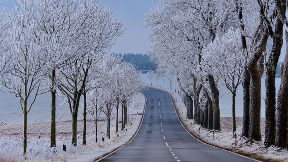 挪威-特羅姆瑟-塞尼亞島【全境定制行程｜中文司導】