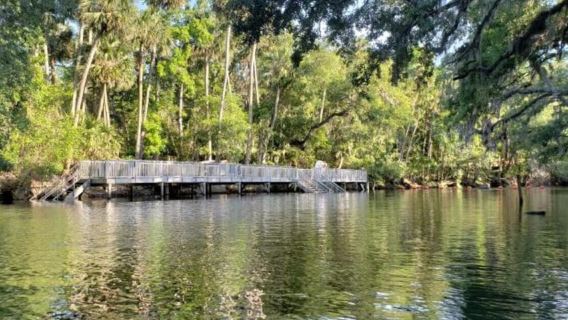 Orange City: crociera sul fiume St. Johns al Blue Spring State Park
