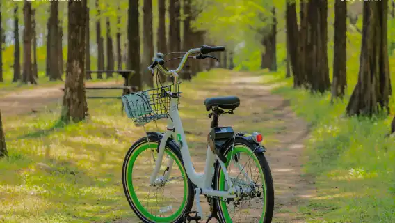 DISCOVER SEOUL PASS 首爾轉轉實體卡