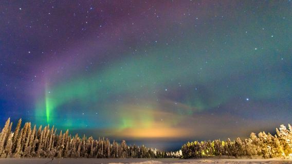 【專業極光獵人-4 小時追極光之旅】俄羅斯摩爾曼斯克浪漫北極光