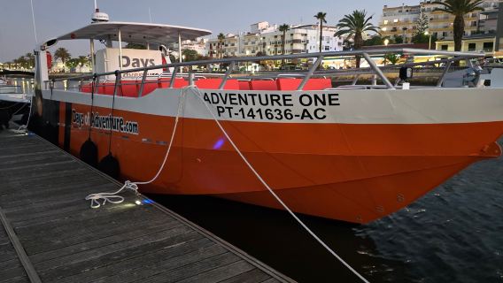 Dolphin Watching & Benagil Cave - Dual Trip