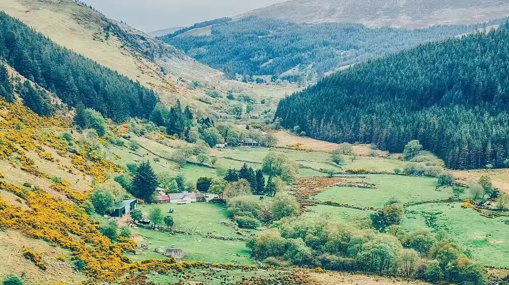 Tour di un giorno a Glendalough, Wicklow e Kilkenny da Dublino (andata e ritorno, tour in inglese)