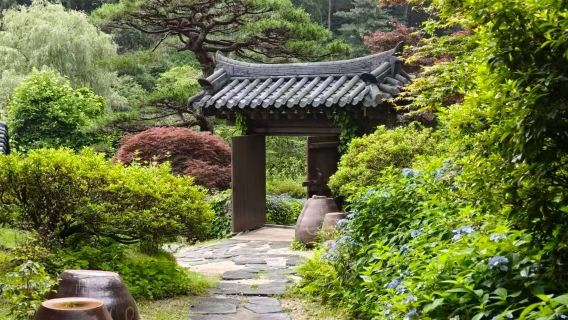 perjalanan satu hari Seoul ( Petite France + Taman Morning Calm)