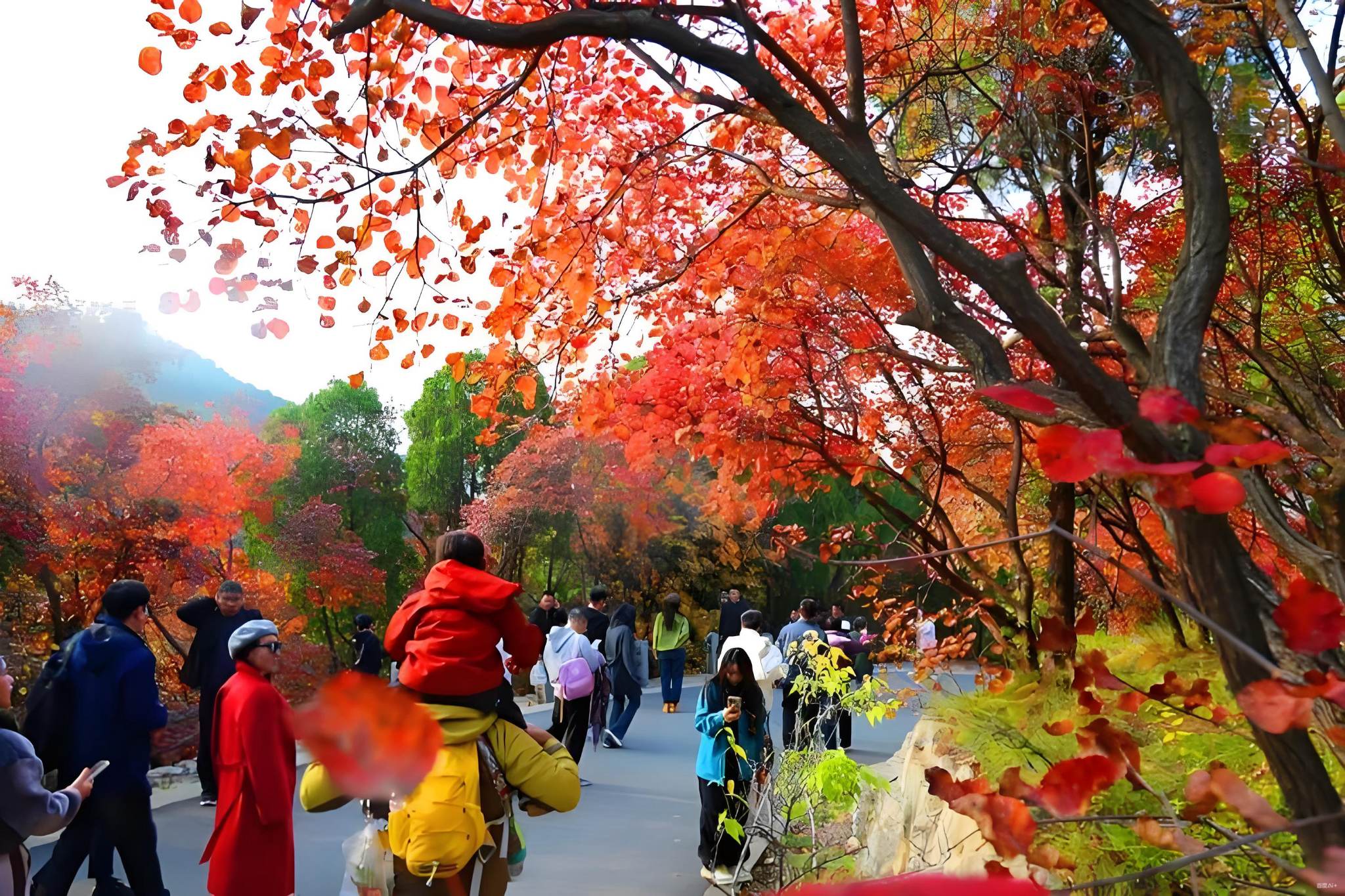 Jinan Red Leaf Valley Private Guided Day Tour
