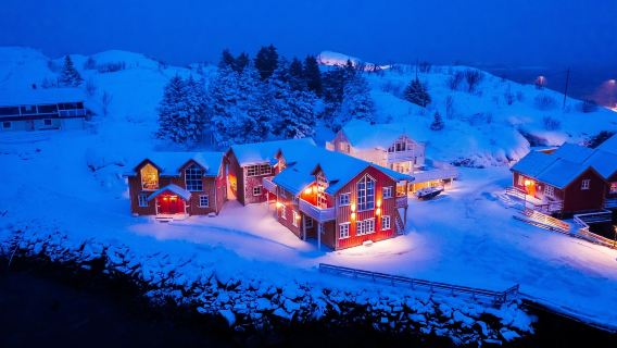 冰島雷克雅未克｜斯奈山半島私家包車一日遊【北歐明星路線】