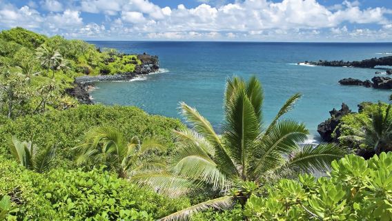 Tour di un giorno nella foresta pluviale di Maui Hana e nel Parco Statale di Waianapanapa alle Hawaii, USA