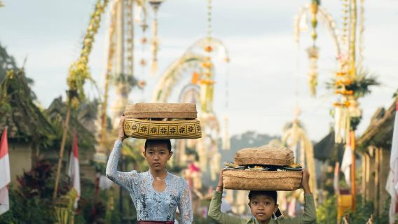 Tur Harian Pribadi: Desa Wisata Penglipuran & Perkebunan Kopi Bali Pulina