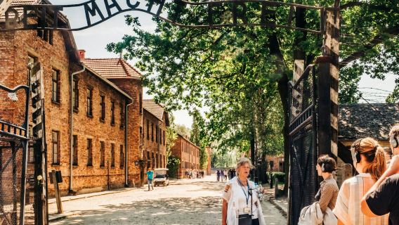 Auschwitz-Birkenau: Guided Tour + Hotel Pickup