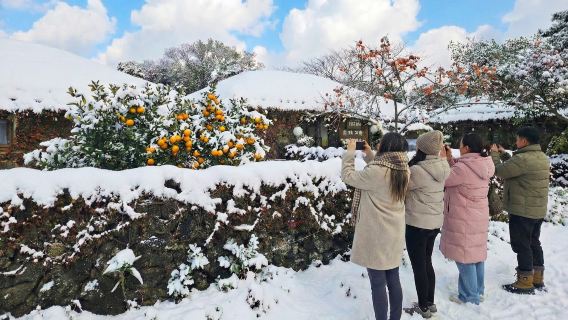 Jeju UNESCO Original Day Tour - East Course