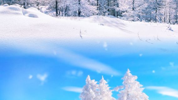 【2-8人小團】雪鄉+冰雪畫廊+禿頂山雪地電單車純玩1日遊