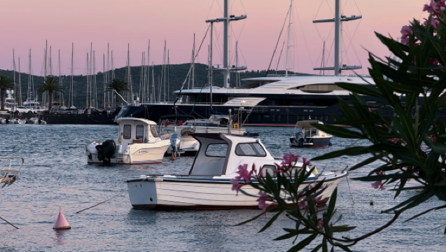 Exploring the Ancient Town of Kotor + The Underrated Coastal Flower City of Tivat