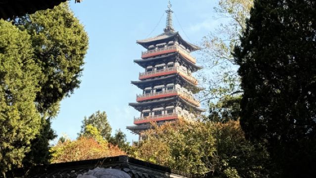 揚州大明寺+瘦西湖+東關街+運河博物館（個園）純玩一日跟團行程