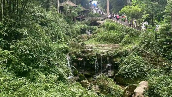 Chengdu Private Charter Day Tour: Sacred Mount Qingcheng & Dujiangyan Blue Tears Night Tour