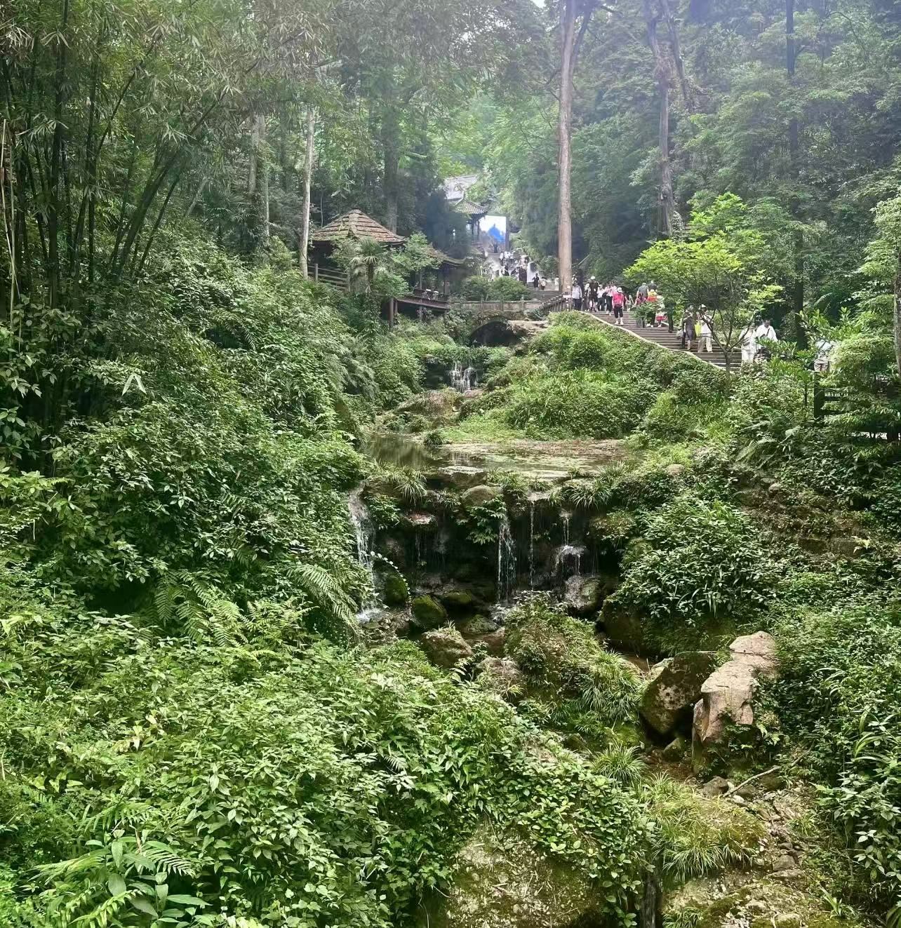 Chengdu Private Charter Day Tour: Sacred Mount Qingcheng & Dujiangyan Blue Tears Night Tour