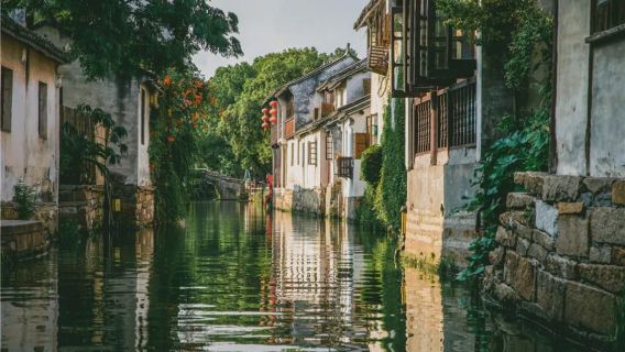 Business-Van | Englischsprachiger Reiseleiter | Ab Shanghai + Zhuozheng-Garten + Hanshan-Tempel + Shantang-Straße + Zhouzhuang