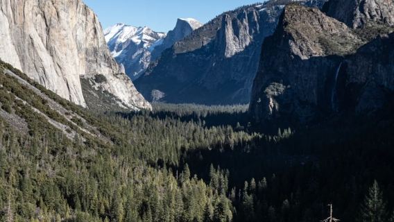 San Francisco - Yosemite National Park - El Capitan and More - Private Charter - Top Pick