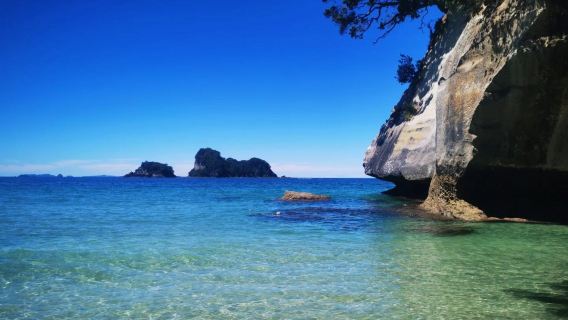 【精品小團~奧克蘭來回】教堂灣觀賞潮汐+熱水沙灘體驗自製溫泉