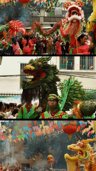湛江包車赤坎老街+湖光岩+軍博園+漁港公園+紅嘴鷗遊船一日遊