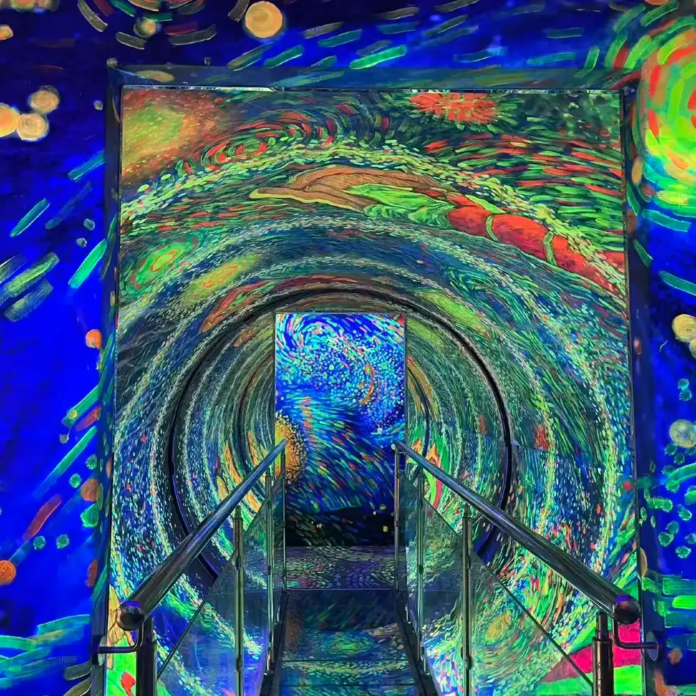 【激レア】VAN GOGH'S IMAGINARY MUSEUM Guiyang Van Gogh Starry Night Art Museum Admission Ticket