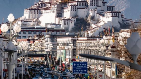 Lhasa, Tibet - Servizio clienti multilingue disponibile (inglese, giapponese, coreano, francese, russo e altre lingue)|guida|guida locale|Escursioni a piedi|traduzione