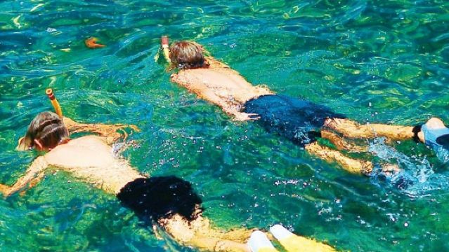 Palma de Mallorca: 2-stündige Katamaranfahrt mit Schwimmen und Schnorcheln