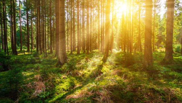 Huzhou, Zhejiang: Classic Attraction 1-Day Tour | Bilingual Guide | Customize | Private Charter | Private Group