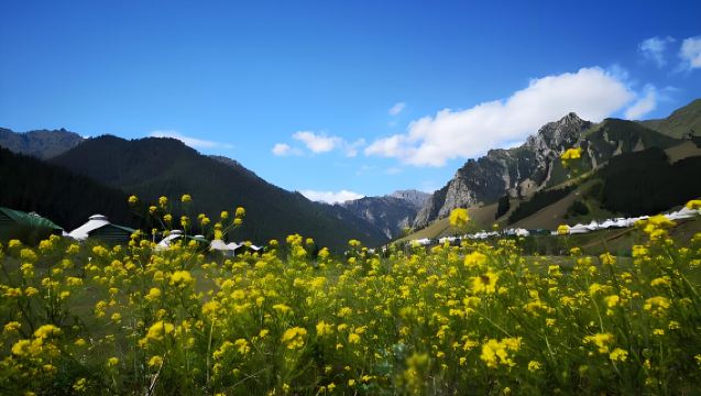 Lawatan Sehari Urumqi Perlepasan Ladang Nanshan, Lembah Baiyanggou Barat, Wulasitai [Kereta Persendirian]