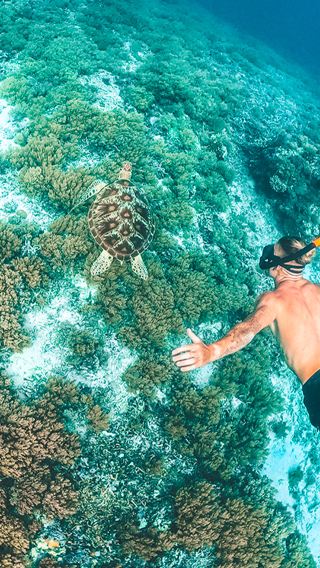 1-day tour to Semporna: Mabul Island + Kapalai snorkeling - visit two islands and see the water village