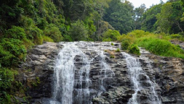 Mysore to Coorg Nature & Wildlife Private Day Tour