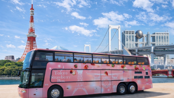 Strawberry Gift Box Themed Open-Top Sightseeing Bus Tour in Tokyo