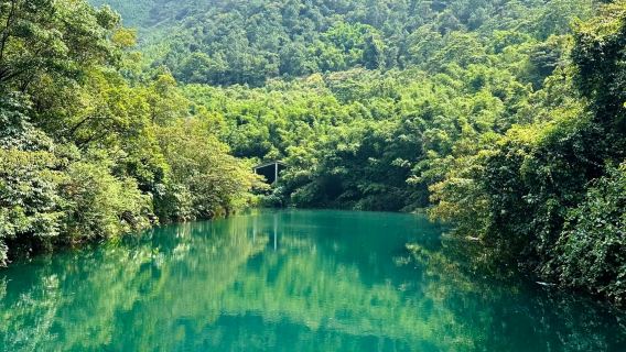 Lawatan Sehari ke Gunung Dinghu Zhaoqing + Lembah Ziyun + Jalan Bersejarah Qilou | Kumpulan Kecil Persendirian dengan Pengangkutan + Menghindari Panas dan Menjelajah Sungai