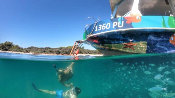 Pula Verudela: Glass-Bottom Boat and Swim with Fish Tour